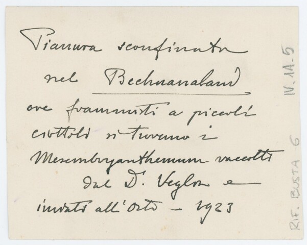 Anteprima dell'oggetto