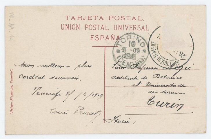 Anteprima dell'oggetto