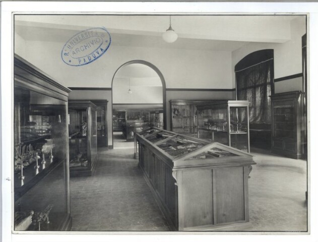 Anteprima dell'oggetto