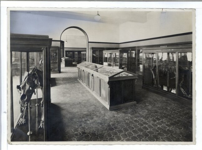 Anteprima dell'oggetto