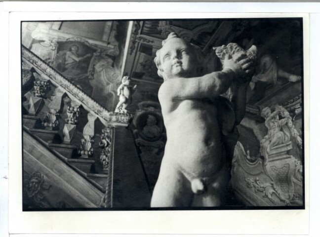 Anteprima dell'oggetto