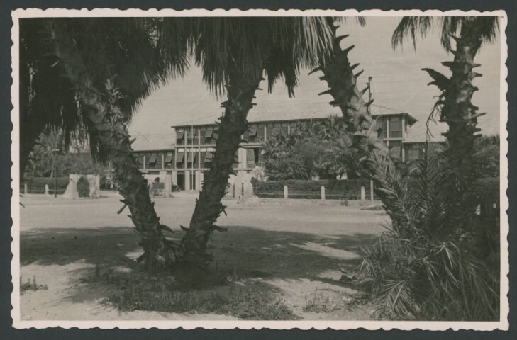 Anteprima dell'oggetto