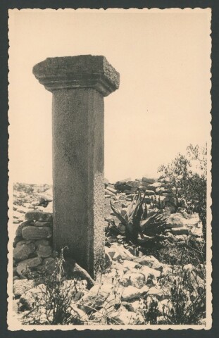 Anteprima dell'oggetto