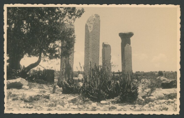 Anteprima dell'oggetto