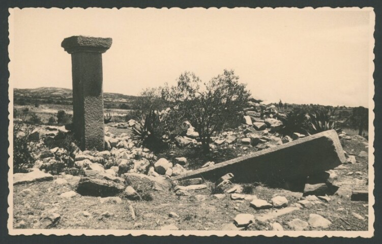 Anteprima dell'oggetto