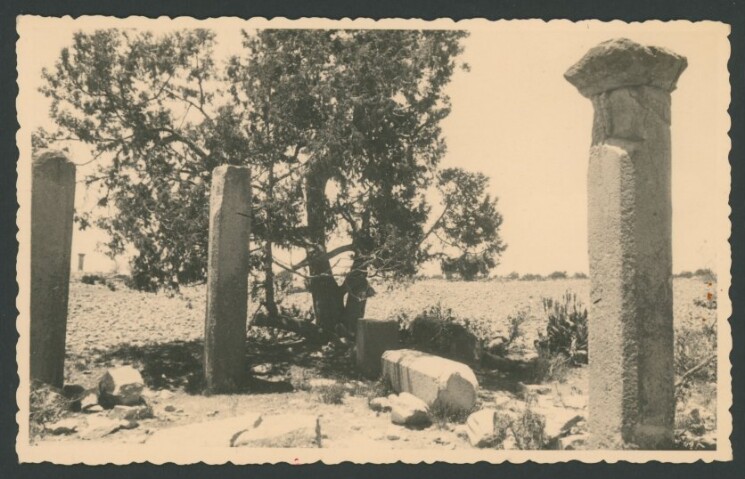 Anteprima dell'oggetto