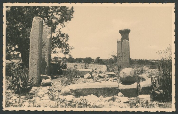 Anteprima dell'oggetto