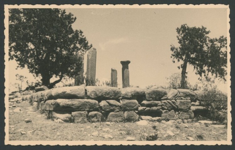 Anteprima dell'oggetto