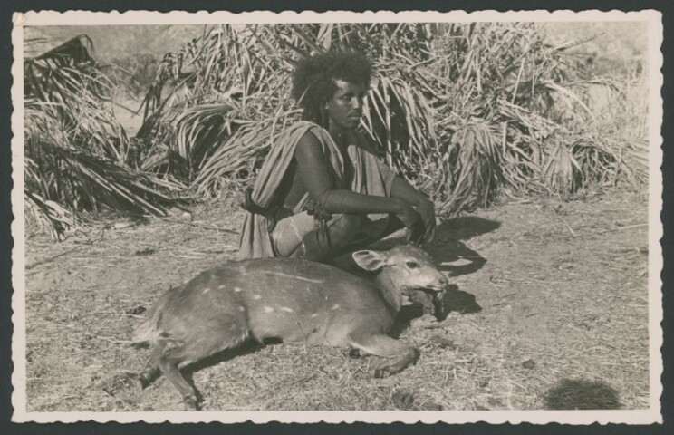 Anteprima dell'oggetto