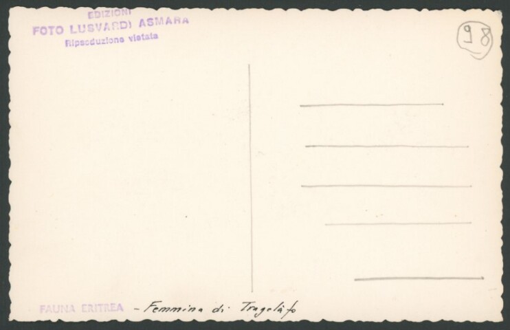 Anteprima dell'oggetto