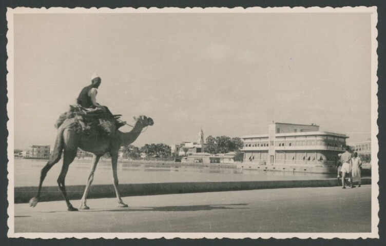 Anteprima dell'oggetto