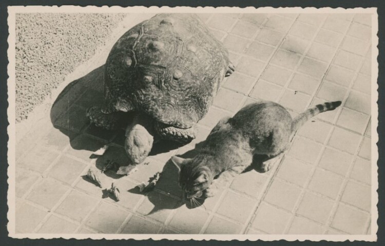 Anteprima dell'oggetto