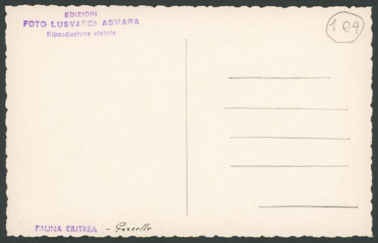 Anteprima dell'oggetto