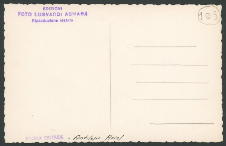 Anteprima dell'oggetto