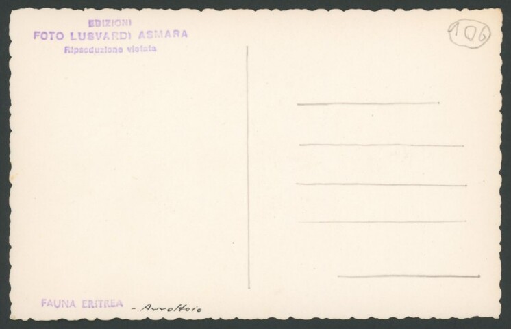 Anteprima dell'oggetto