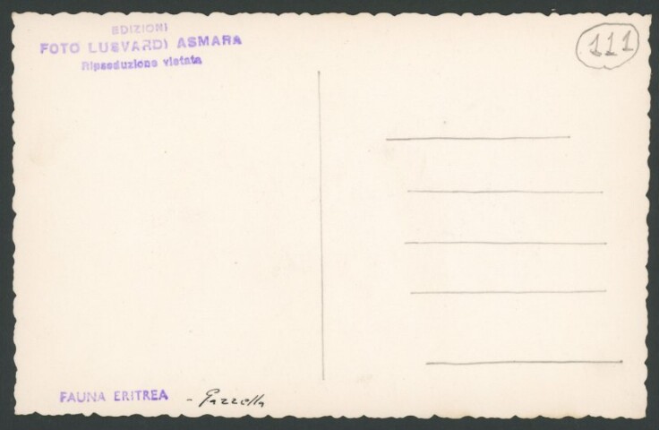 Anteprima dell'oggetto