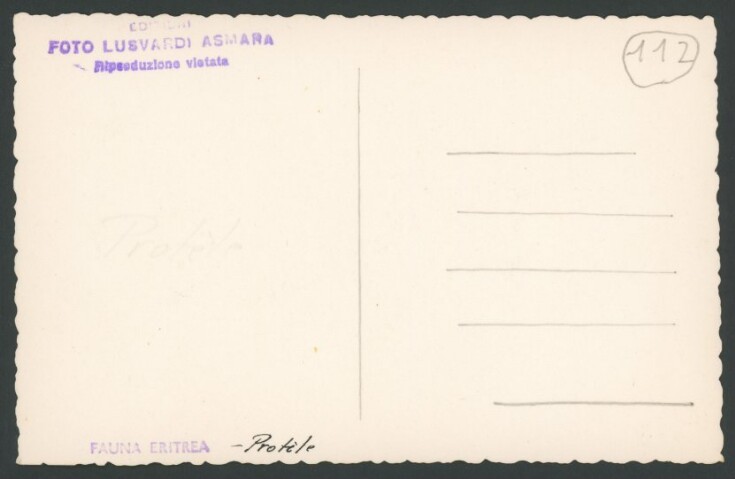 Anteprima dell'oggetto