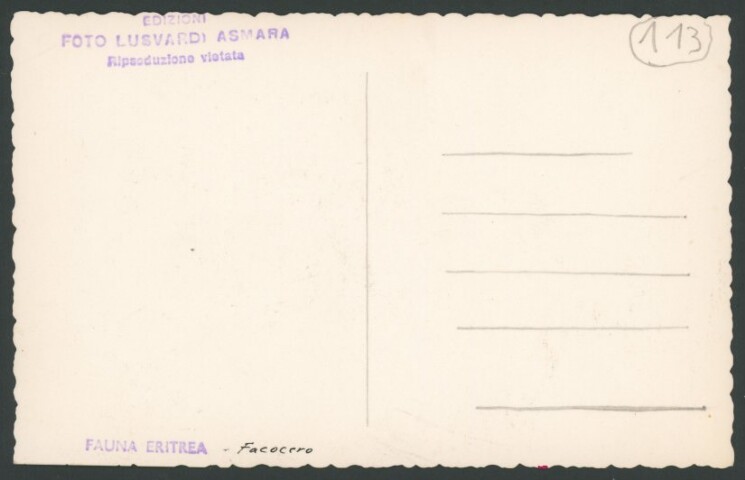 Anteprima dell'oggetto