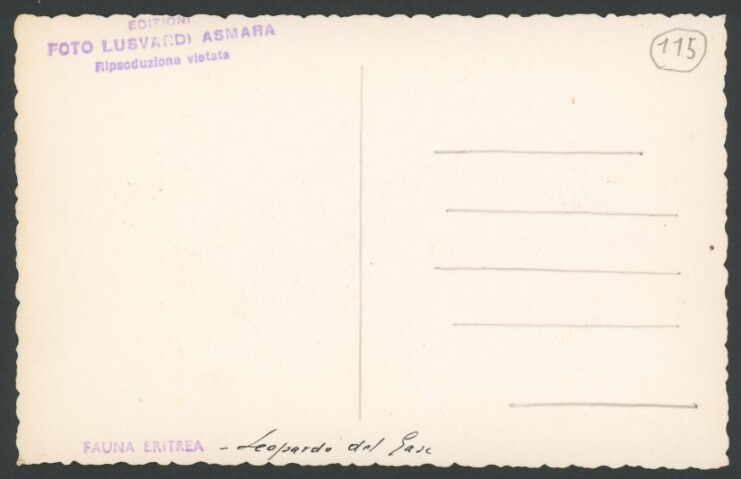 Anteprima dell'oggetto