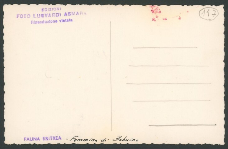 Anteprima dell'oggetto