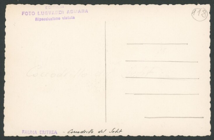 Anteprima dell'oggetto