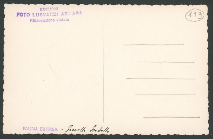 Anteprima dell'oggetto