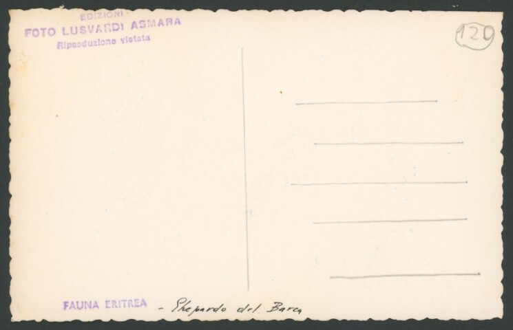 Anteprima dell'oggetto