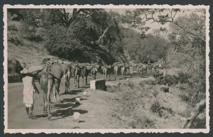 Anteprima dell'oggetto