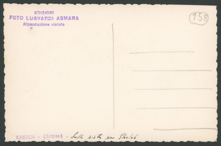 Anteprima dell'oggetto