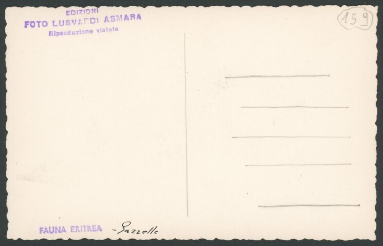 Anteprima dell'oggetto