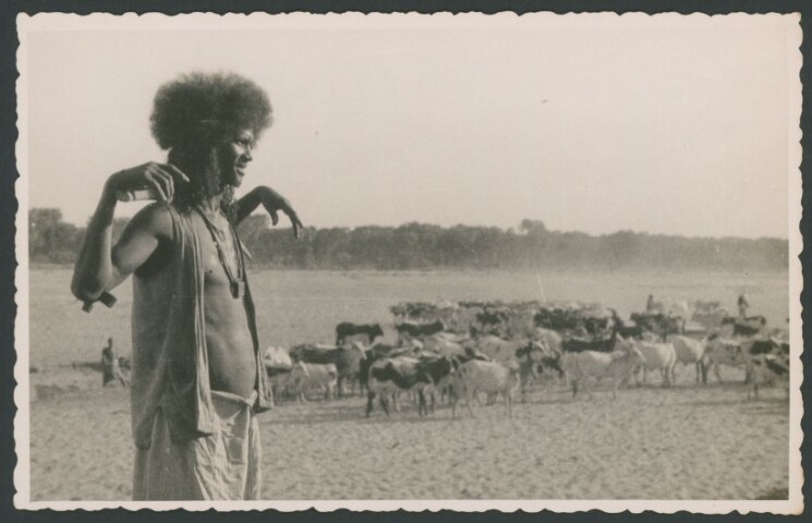 Anteprima dell'oggetto