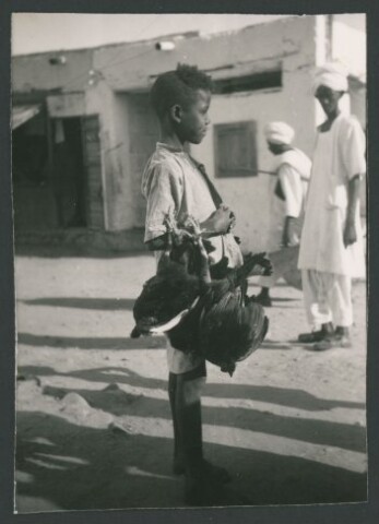 Anteprima dell'oggetto