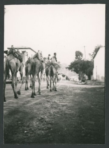 Anteprima dell'oggetto