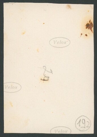 Anteprima dell'oggetto