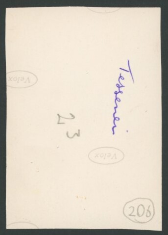 Anteprima dell'oggetto