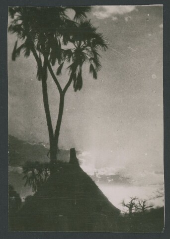 Anteprima dell'oggetto