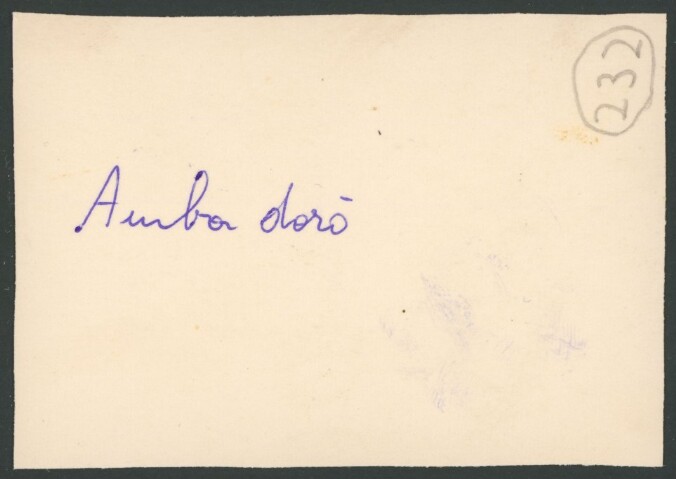 Anteprima dell'oggetto