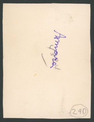 Anteprima dell'oggetto