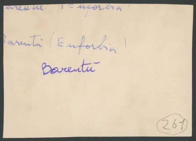 Anteprima dell'oggetto