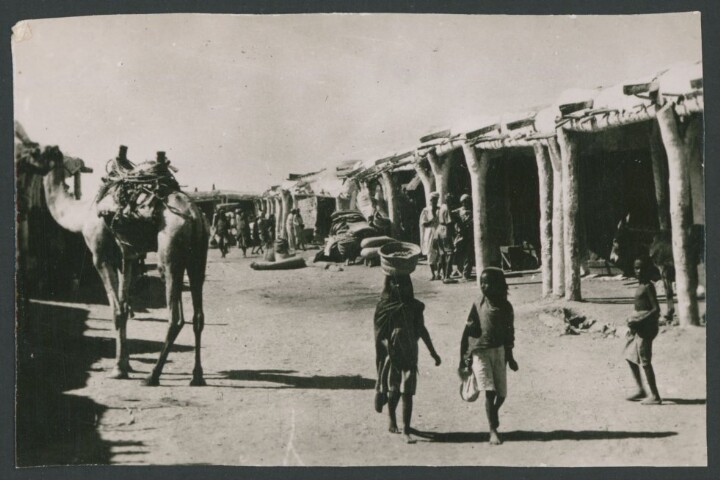 Anteprima dell'oggetto