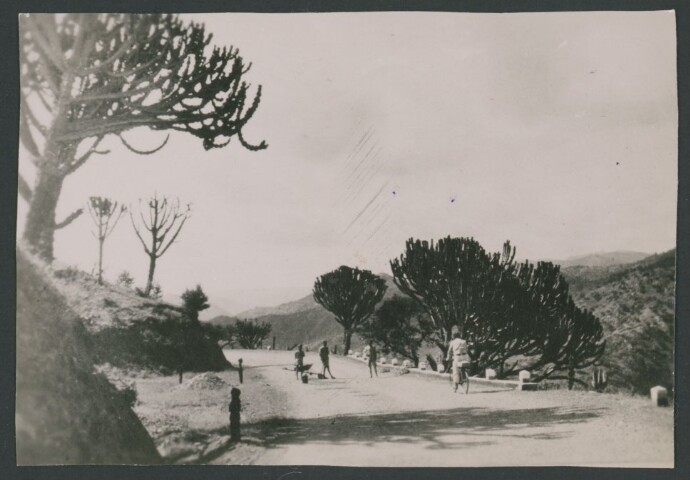 Anteprima dell'oggetto