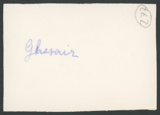 Anteprima dell'oggetto