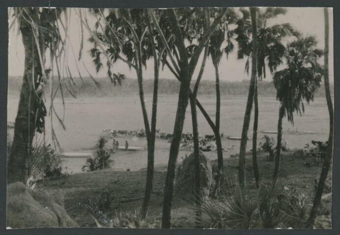 Anteprima dell'oggetto