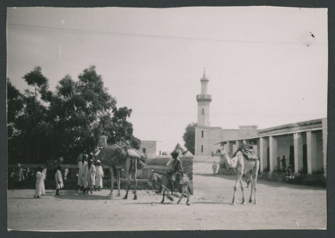 Anteprima dell'oggetto