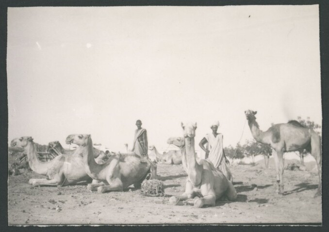 Anteprima dell'oggetto