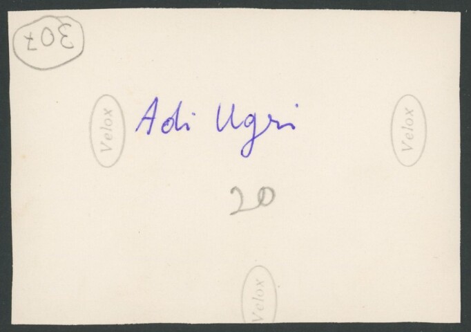 Anteprima dell'oggetto