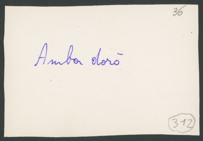 Anteprima dell'oggetto