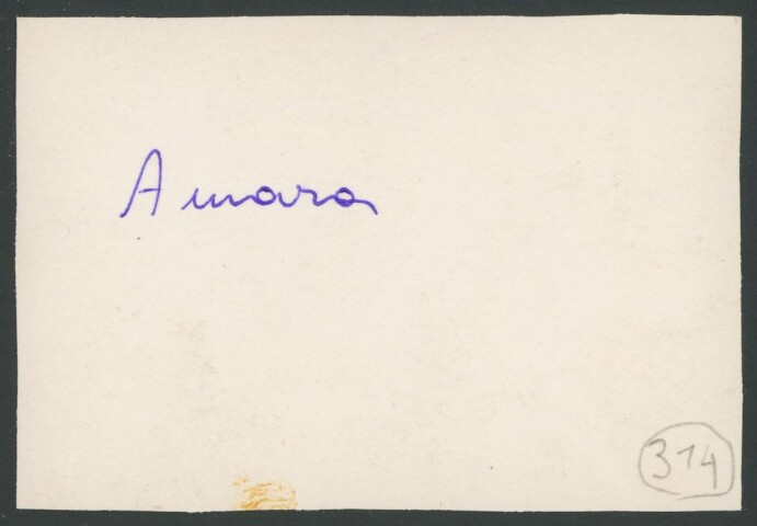 Anteprima dell'oggetto