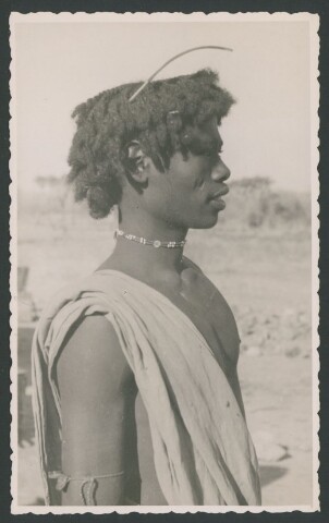 Anteprima dell'oggetto