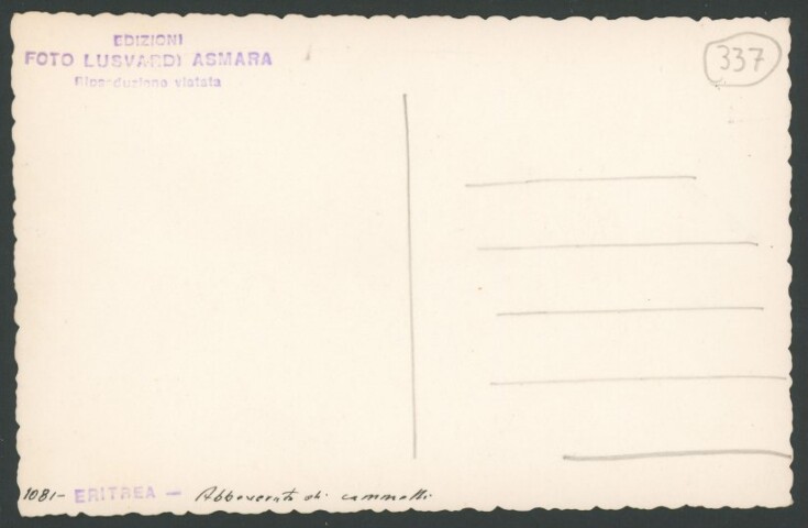 Anteprima dell'oggetto